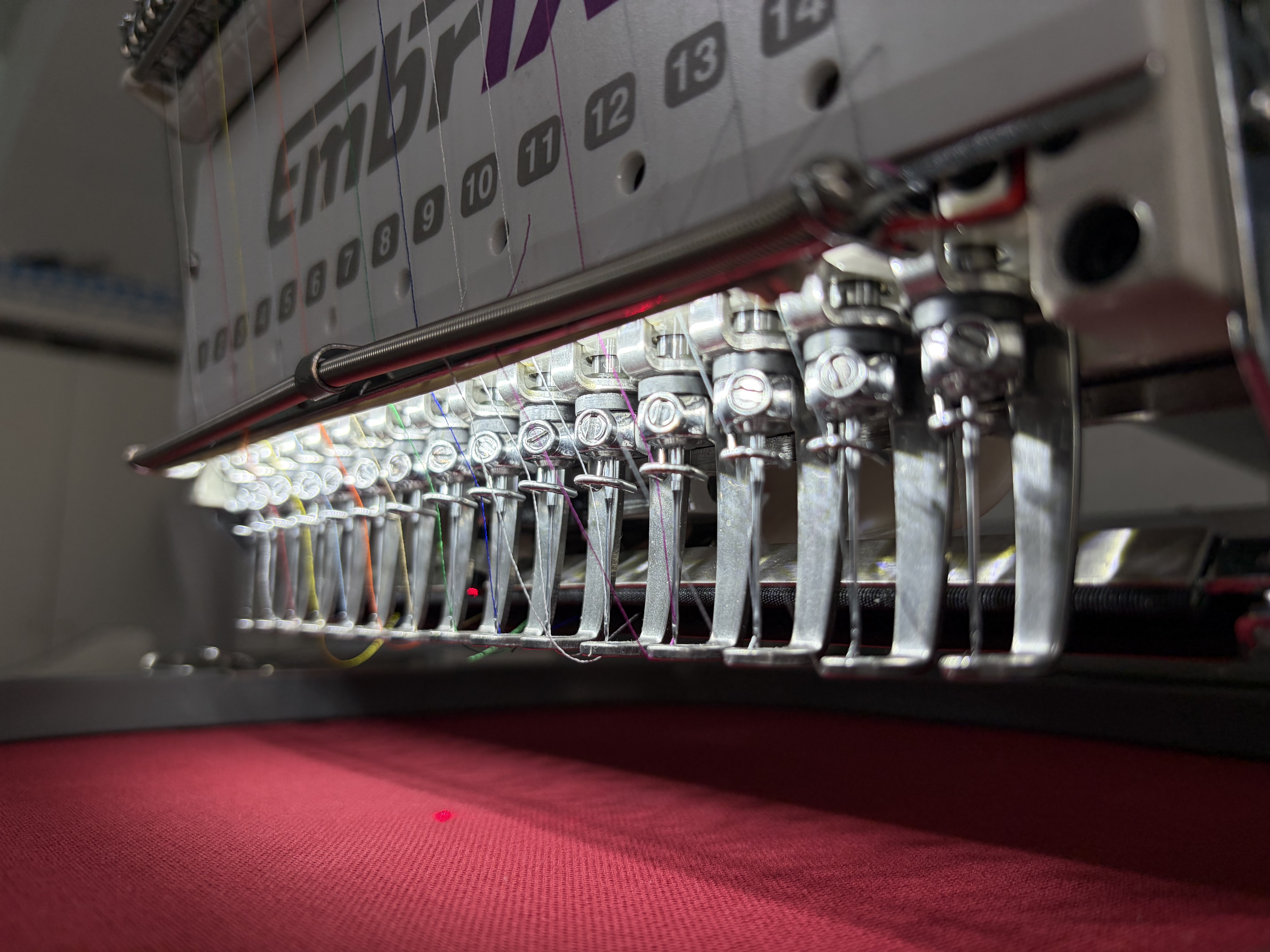 Pro_Licht_vor_den_Nadeln